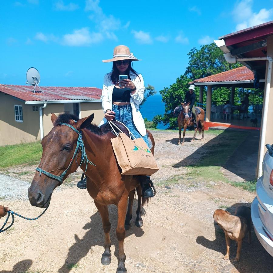 فندق Rancho Juancho بورتو بيلو المظهر الخارجي الصورة