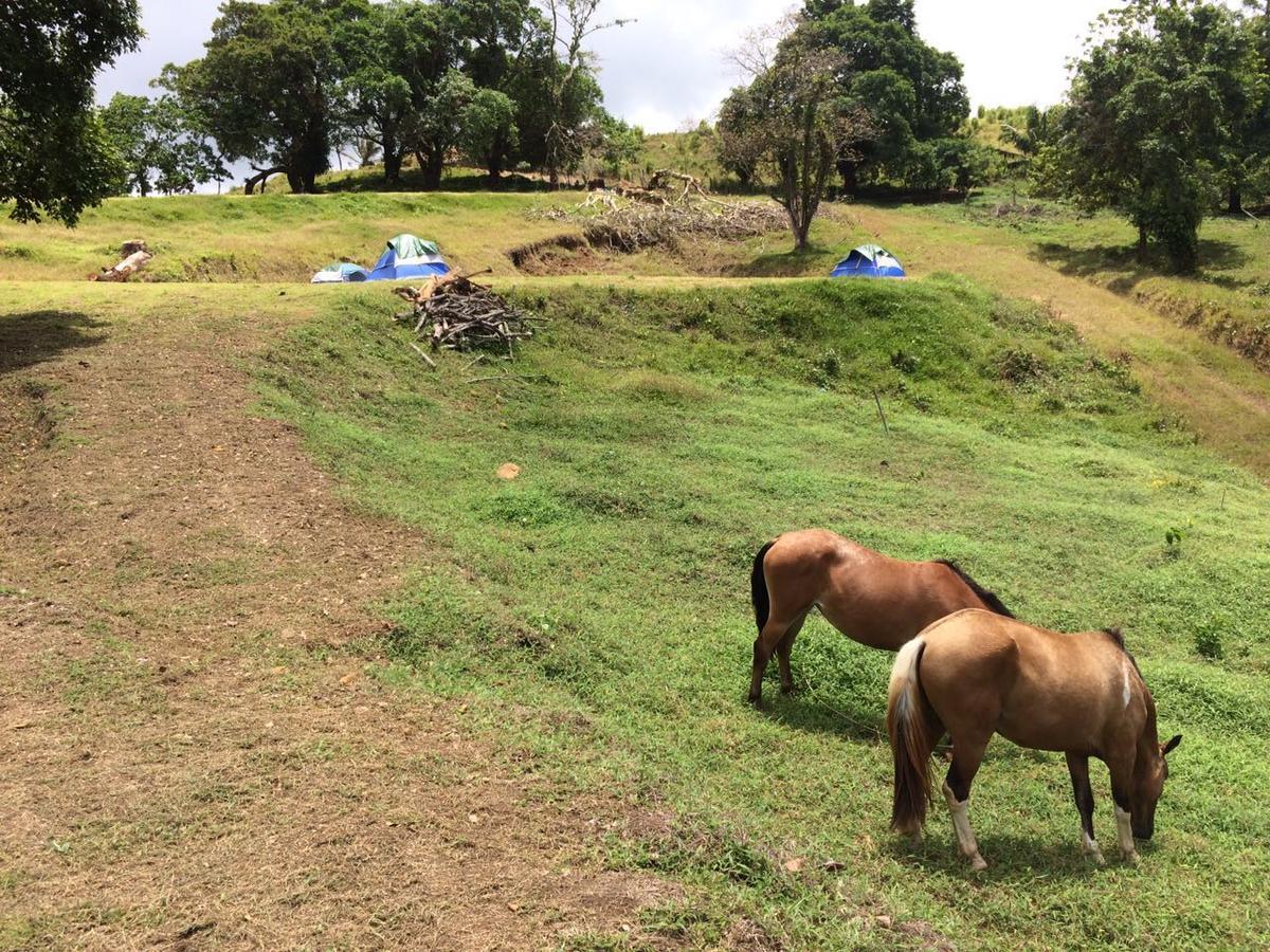 فندق Rancho Juancho بورتو بيلو المظهر الخارجي الصورة