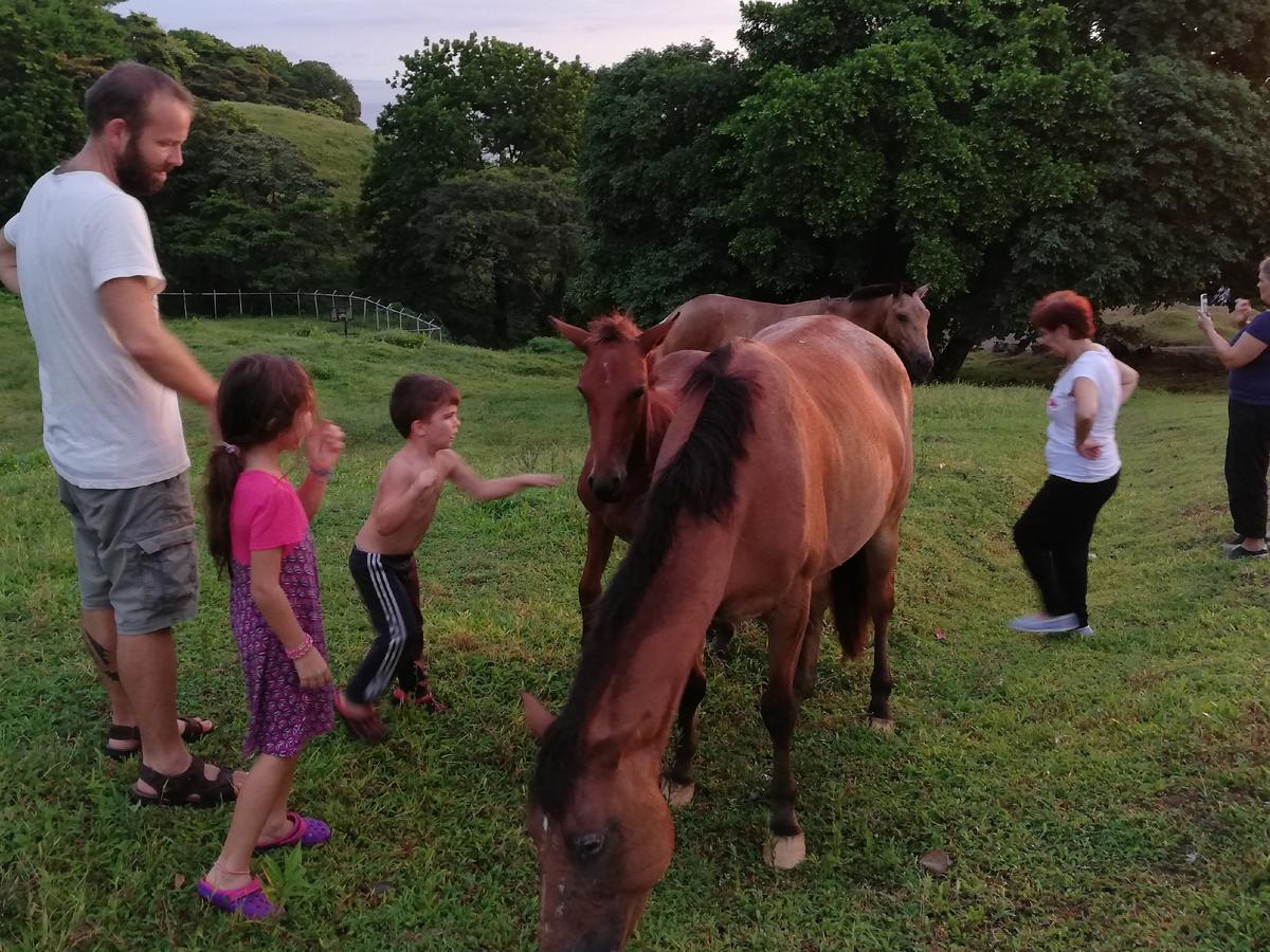 فندق Rancho Juancho بورتو بيلو المظهر الخارجي الصورة